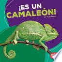 libro ¡es Un Camaleón! (it S A Chameleon!)